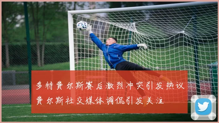 多特费尔斯赛后激烈冲突引发热议费尔斯社交媒体调侃引发关注