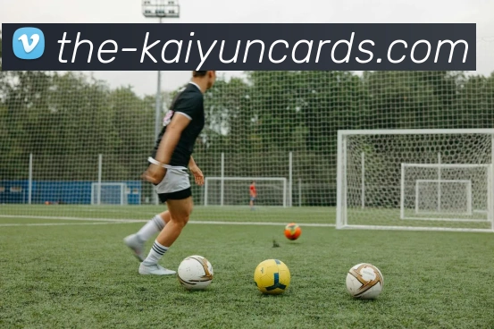 开云棋牌官网平台生态图