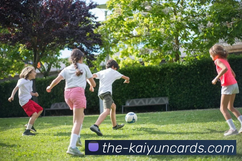 开云棋牌官网APP 封面图